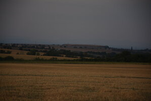 DSC_5981.JPG