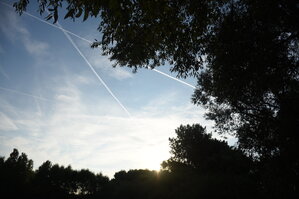 DSC_5999.JPG