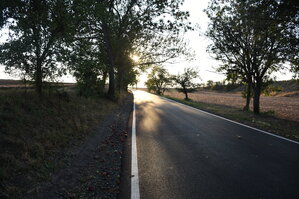 DSC_6137.JPG