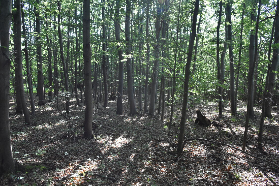 DSC_8951.JPG