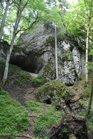 DSC_8942.JPG