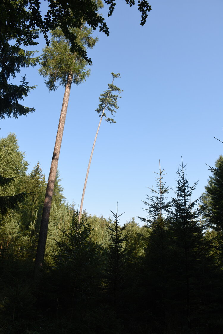 DSC_5757.JPG