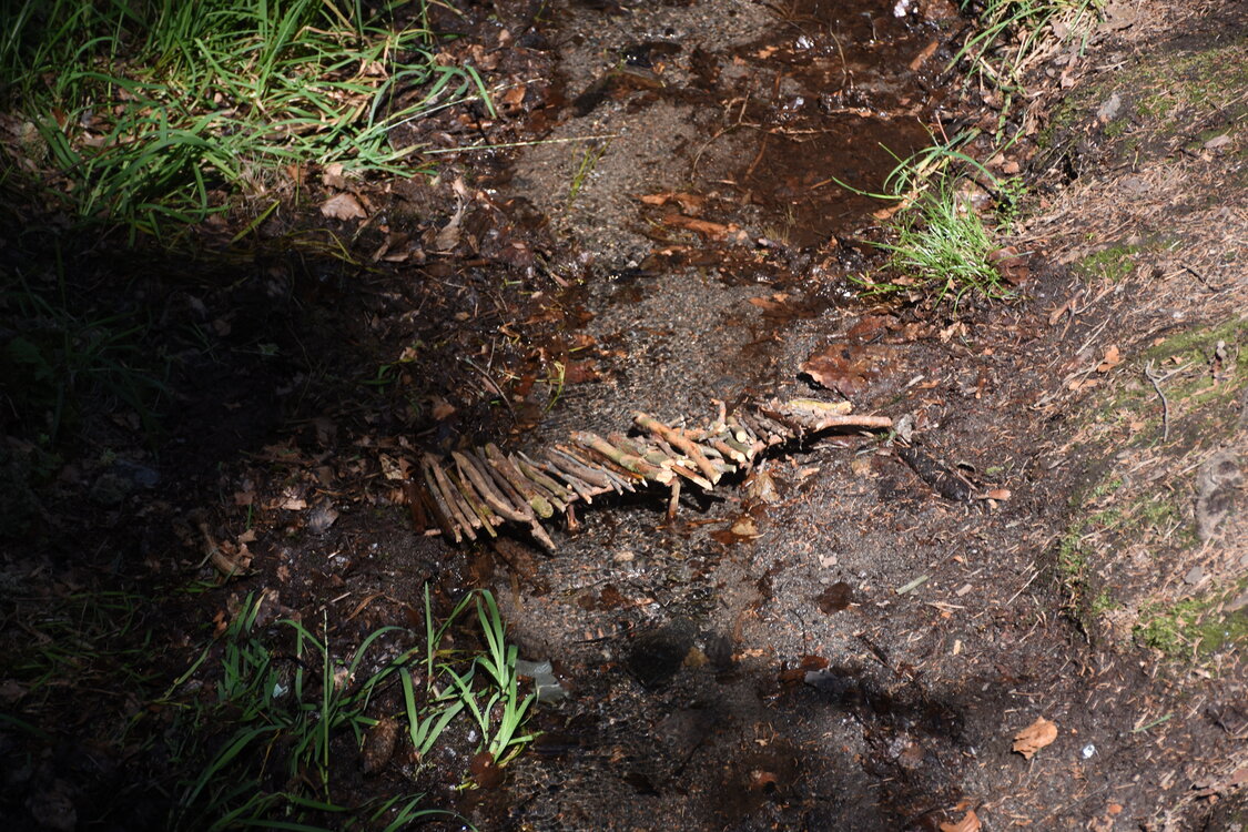 DSC_5773.JPG