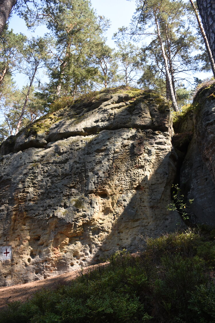DSC_5779.JPG
