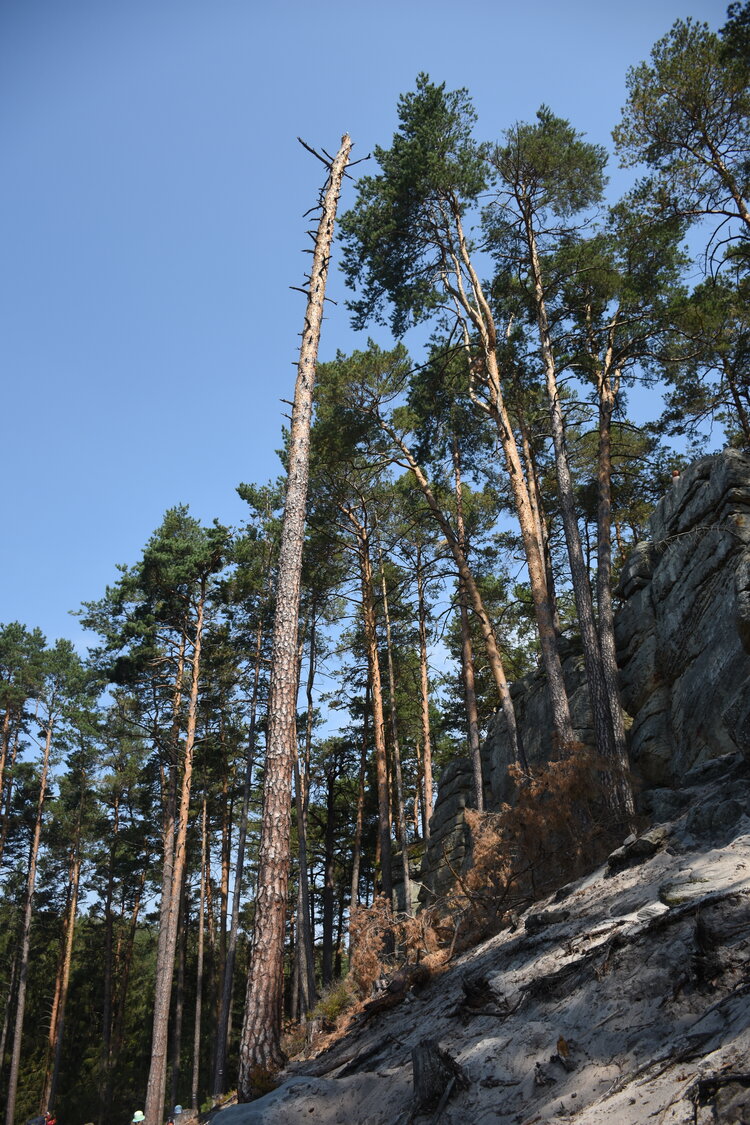 DSC_5783.JPG
