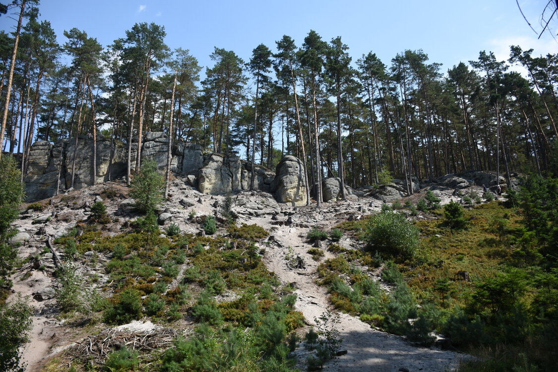 DSC_5787.JPG