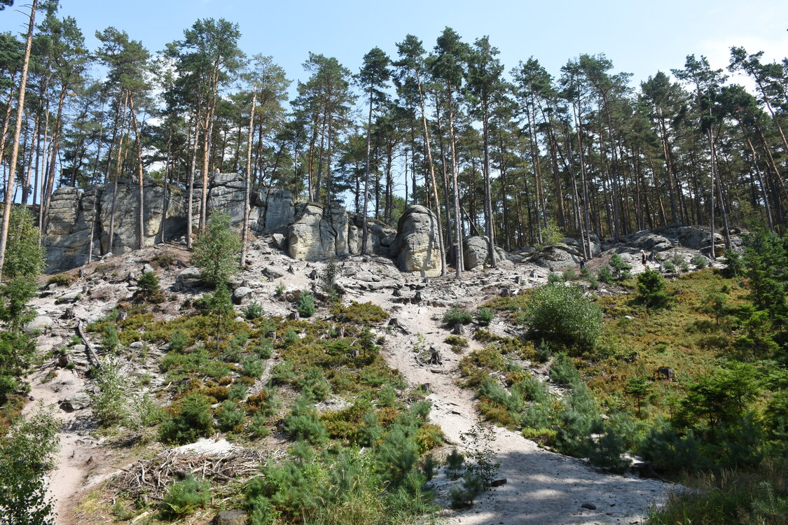 DSC_5788.JPG