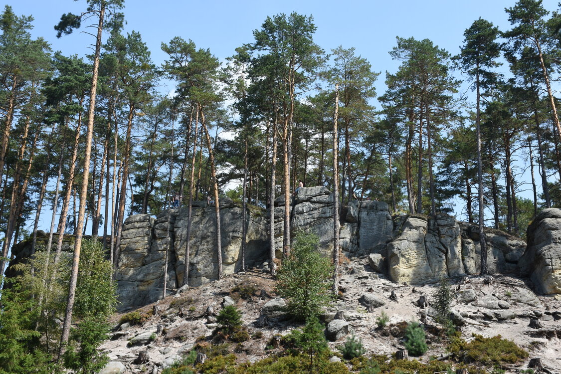 DSC_5789.JPG