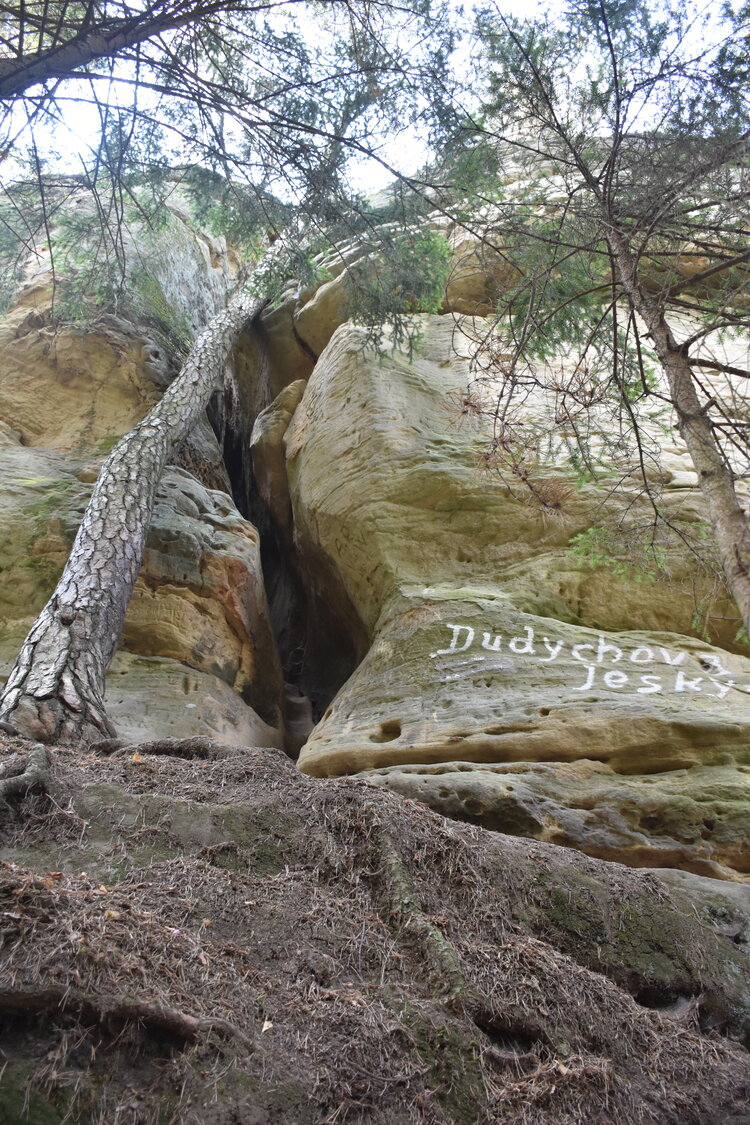 DSC_5810.JPG