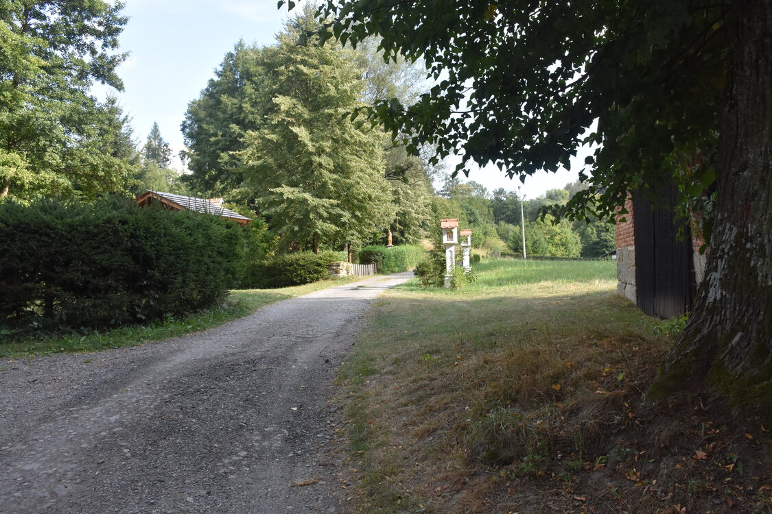 DSC_5822.JPG