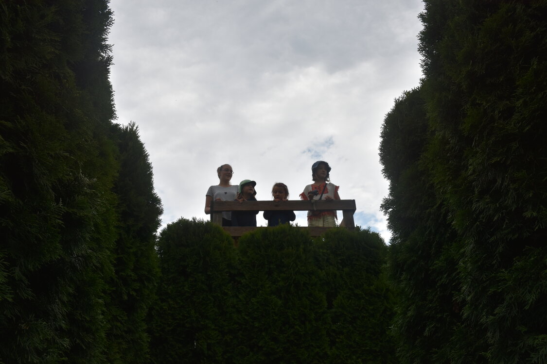 DSC_5841.JPG