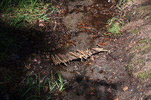 DSC_5773.JPG