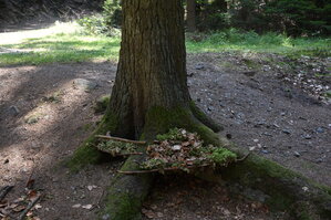 DSC_5775.JPG