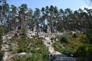 DSC_5787.JPG
