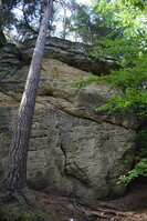 DSC_5808.JPG