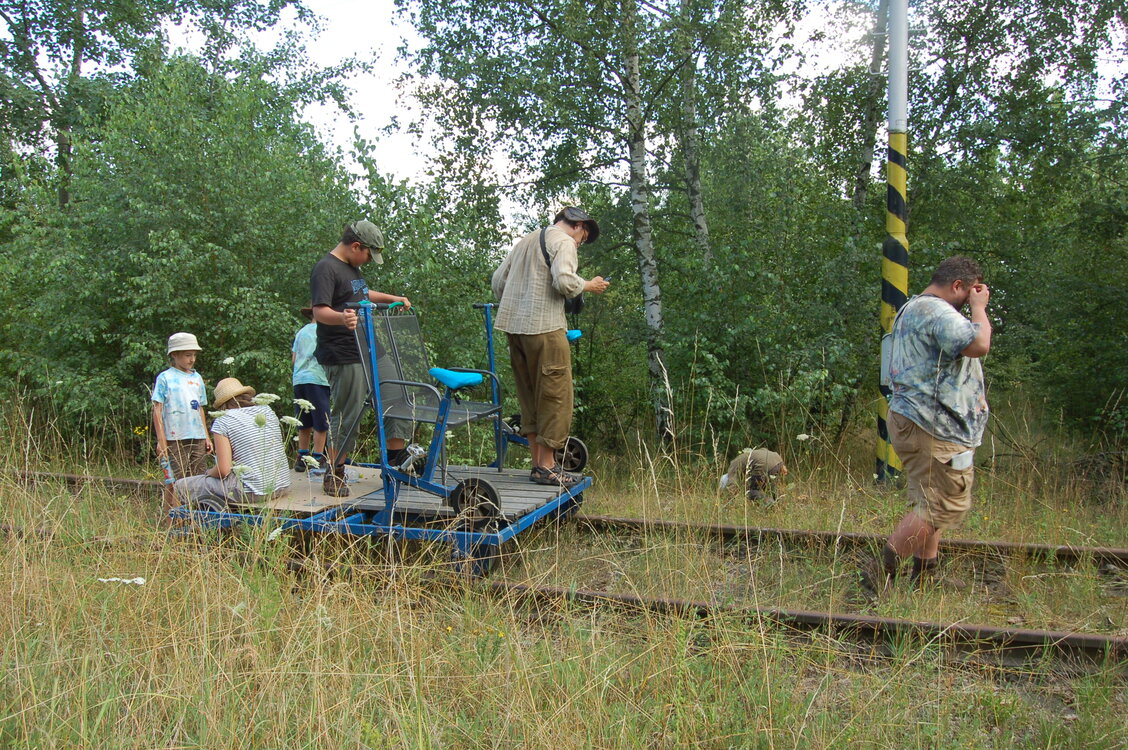 an47648.jpg