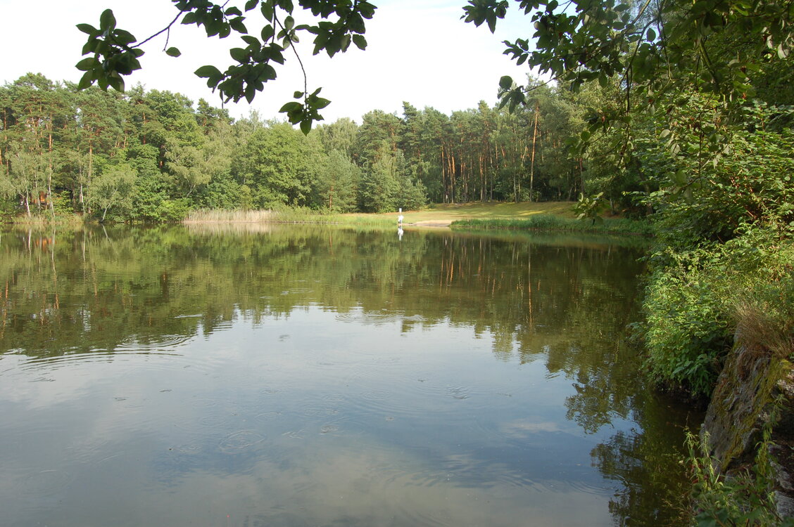 an47681.jpg