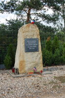 an47636.jpg