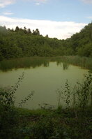 an47684.jpg
