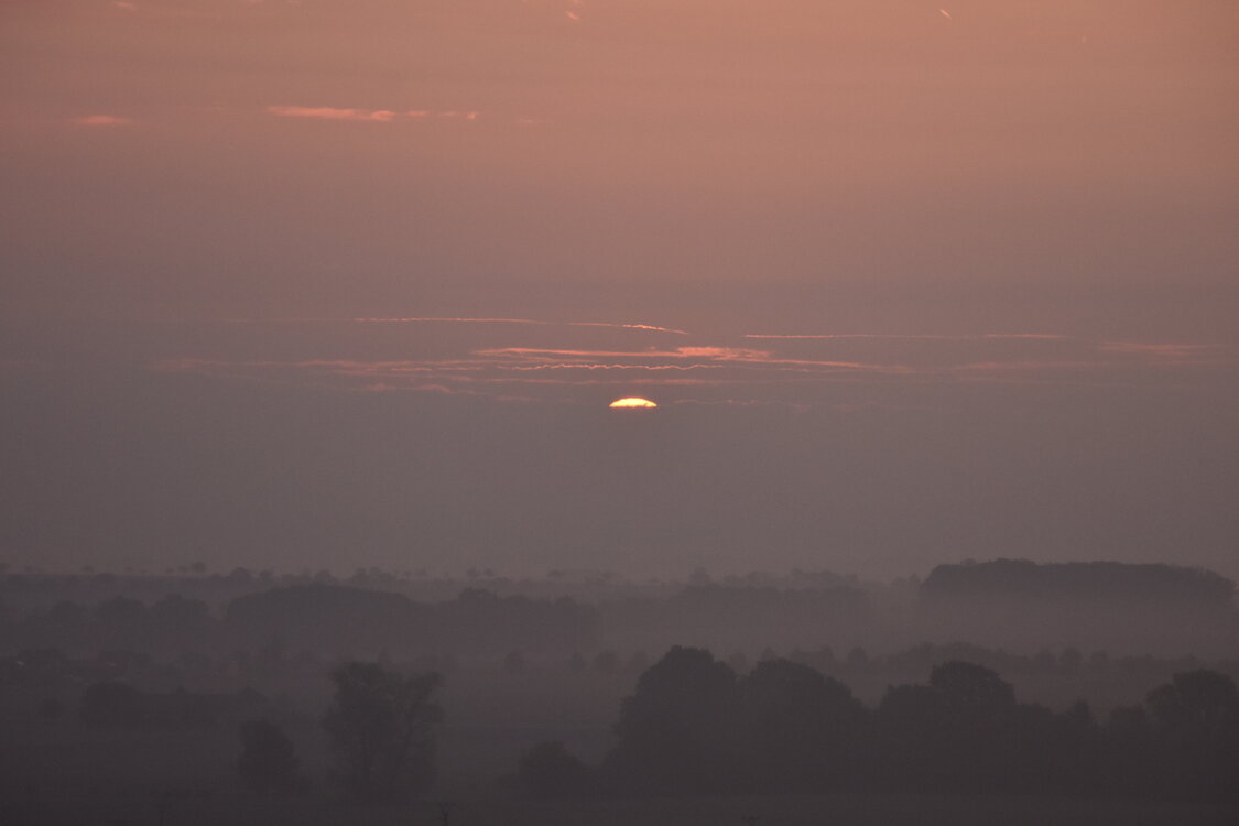 DSC_6399.JPG