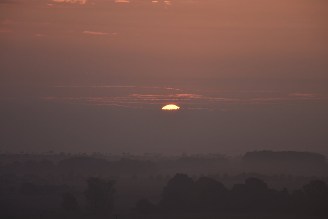 DSC_6401.JPG