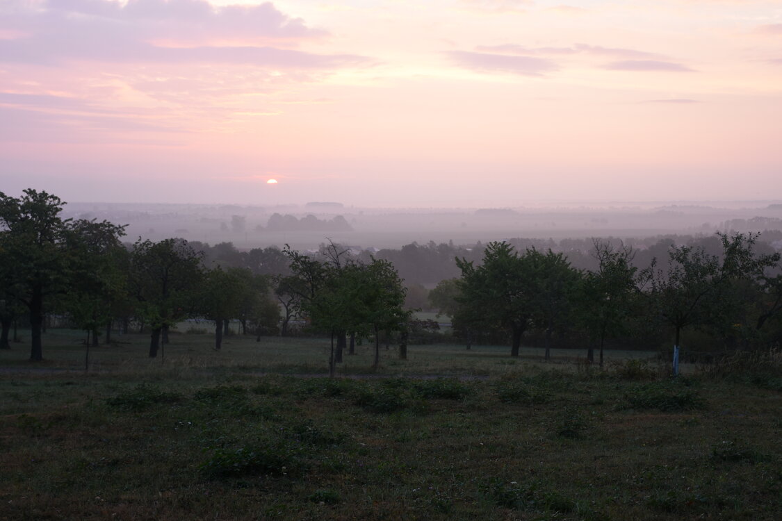 DSC_6402.JPG