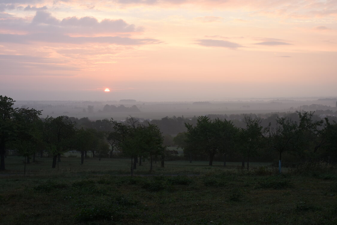 DSC_6403.JPG