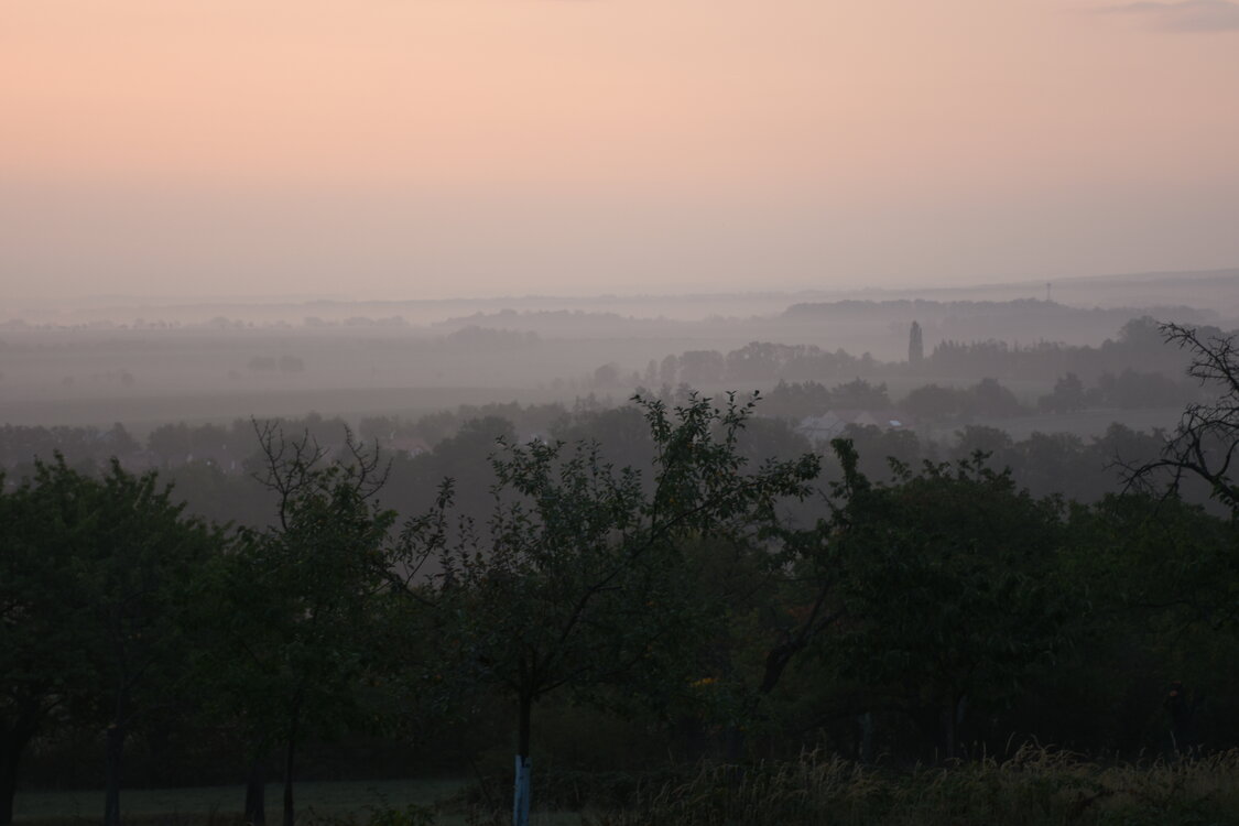 DSC_6404.JPG