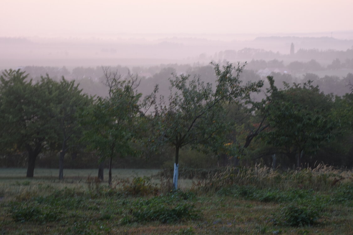 DSC_6405.JPG