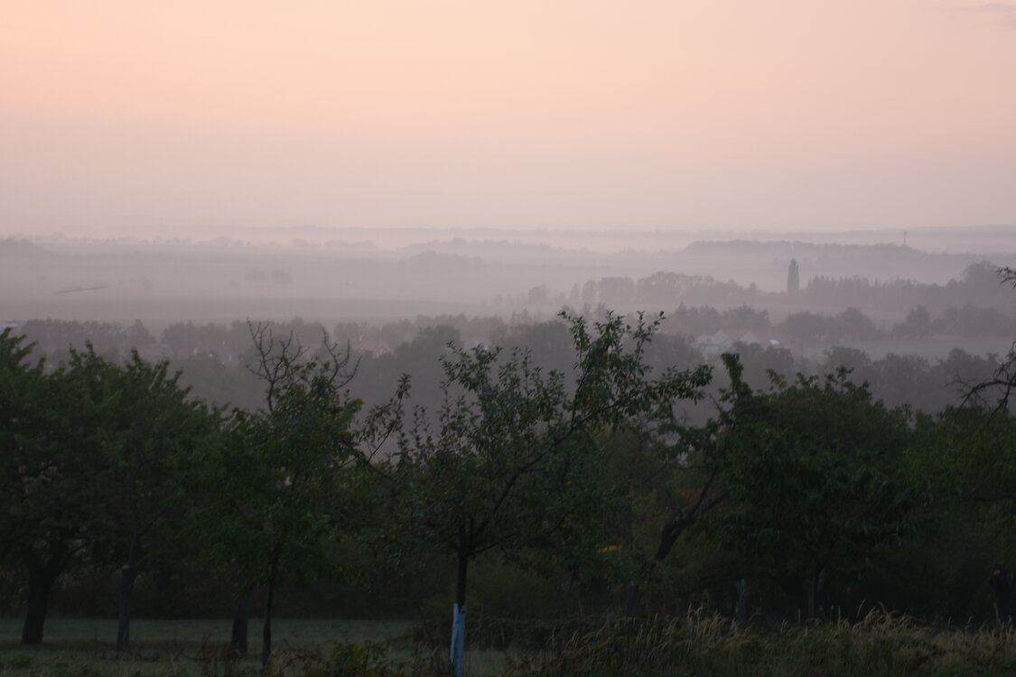 DSC_6406.JPG