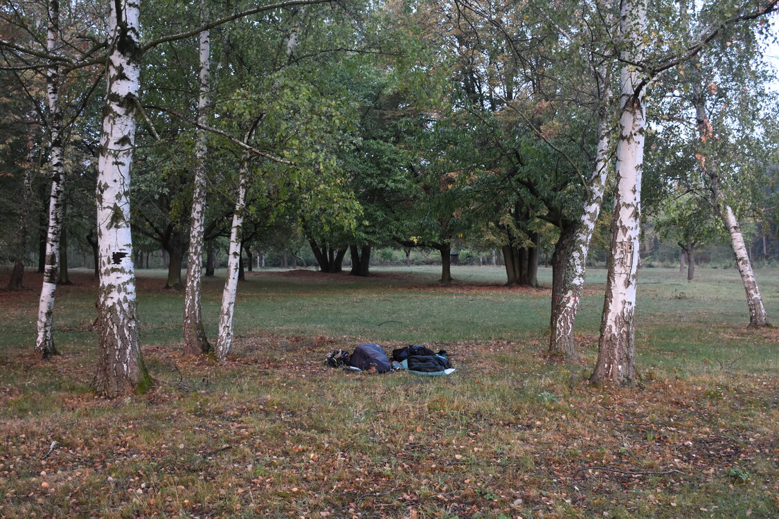 DSC_6407.JPG