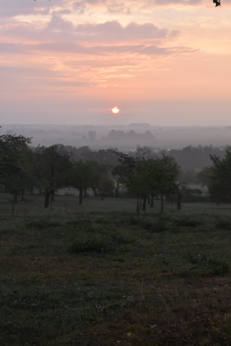 DSC_6408.JPG