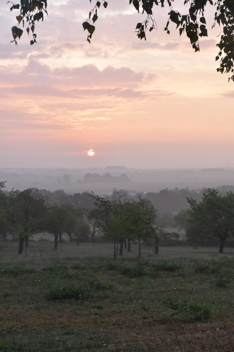 DSC_6409.JPG