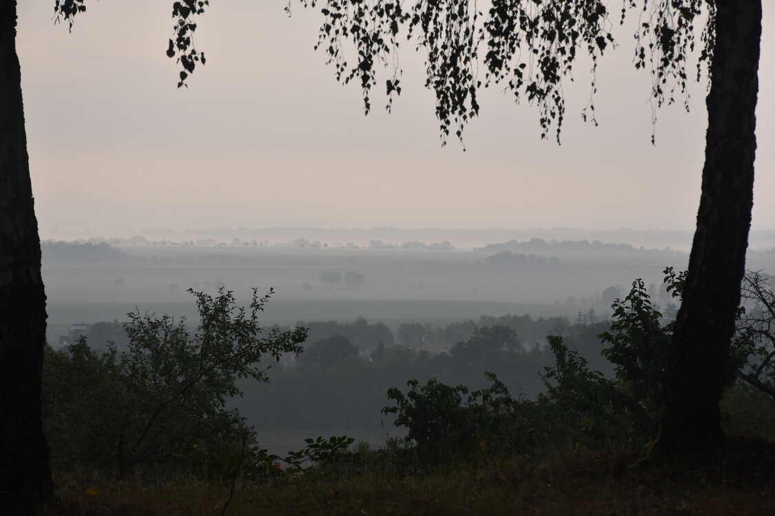 DSC_6410.JPG