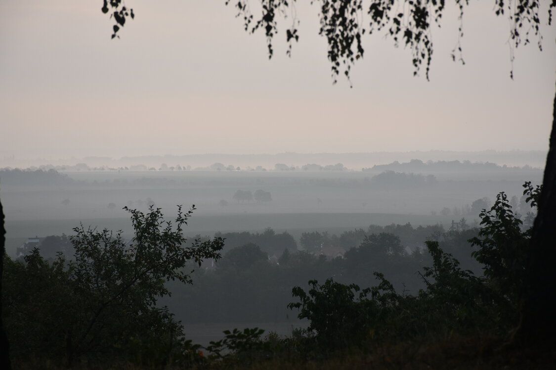 DSC_6411.JPG