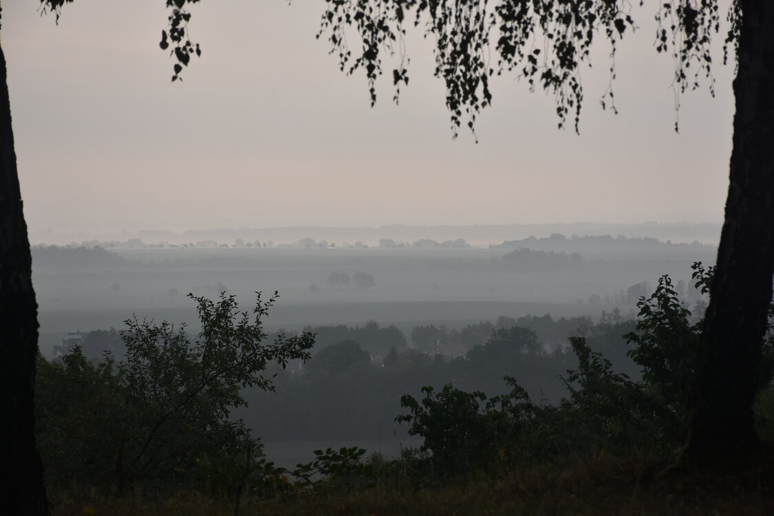 DSC_6412.JPG