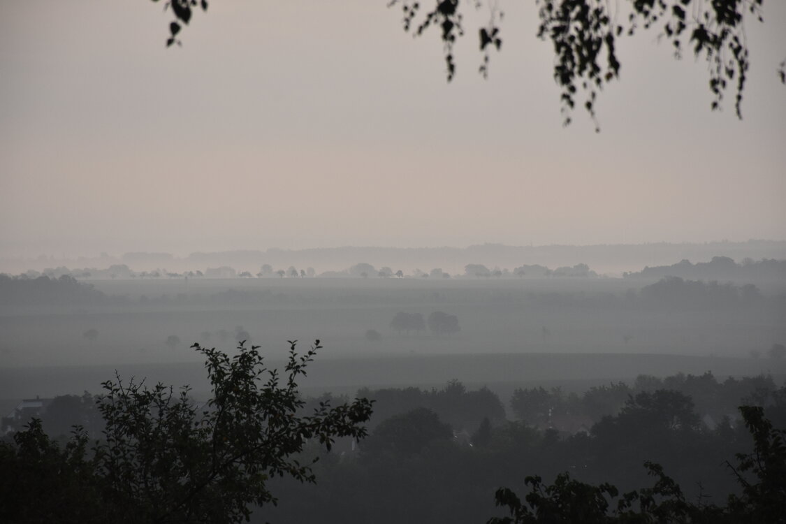 DSC_6413.JPG
