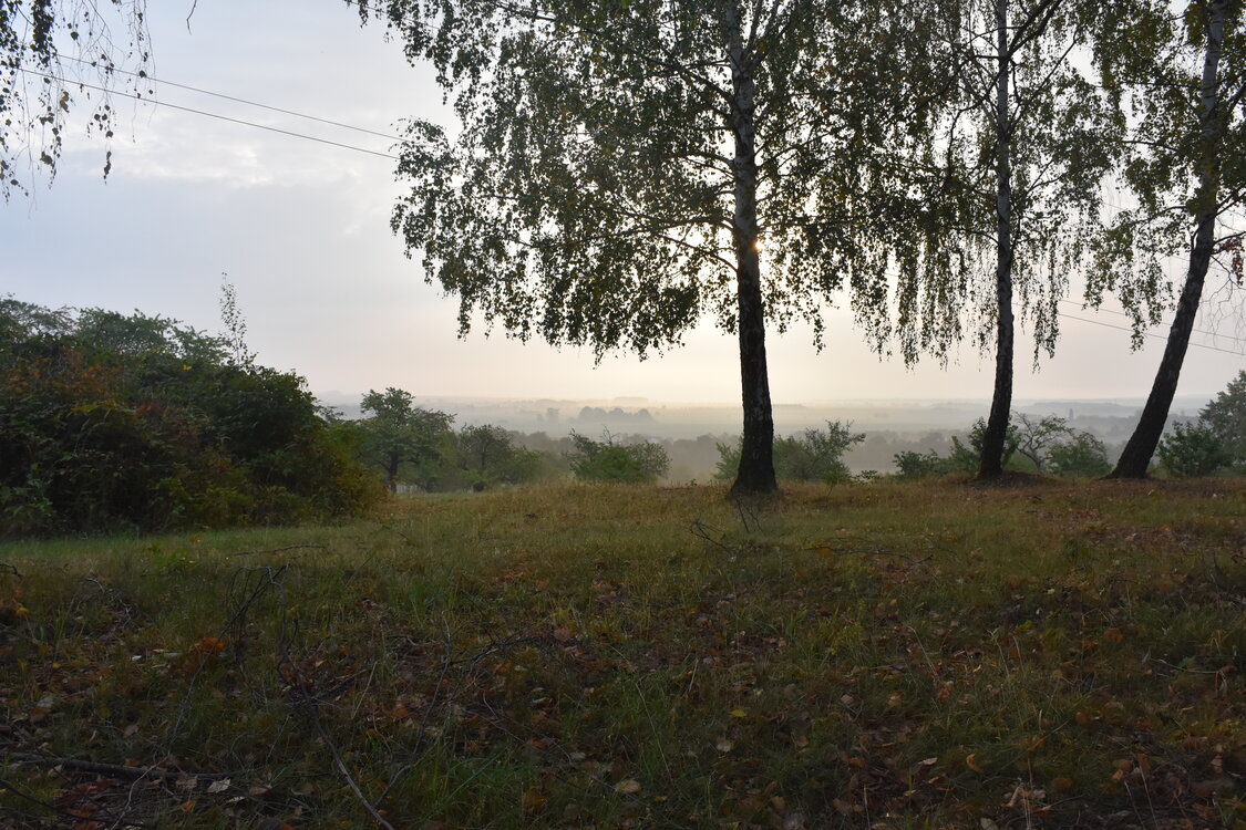 DSC_6414.JPG