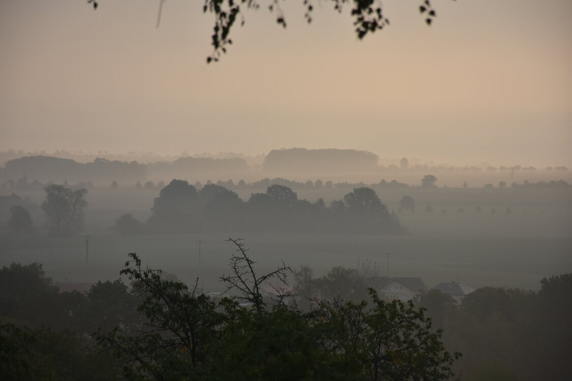 DSC_6417.JPG