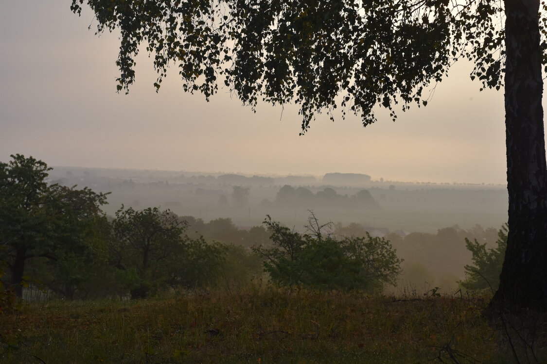 DSC_6419.JPG