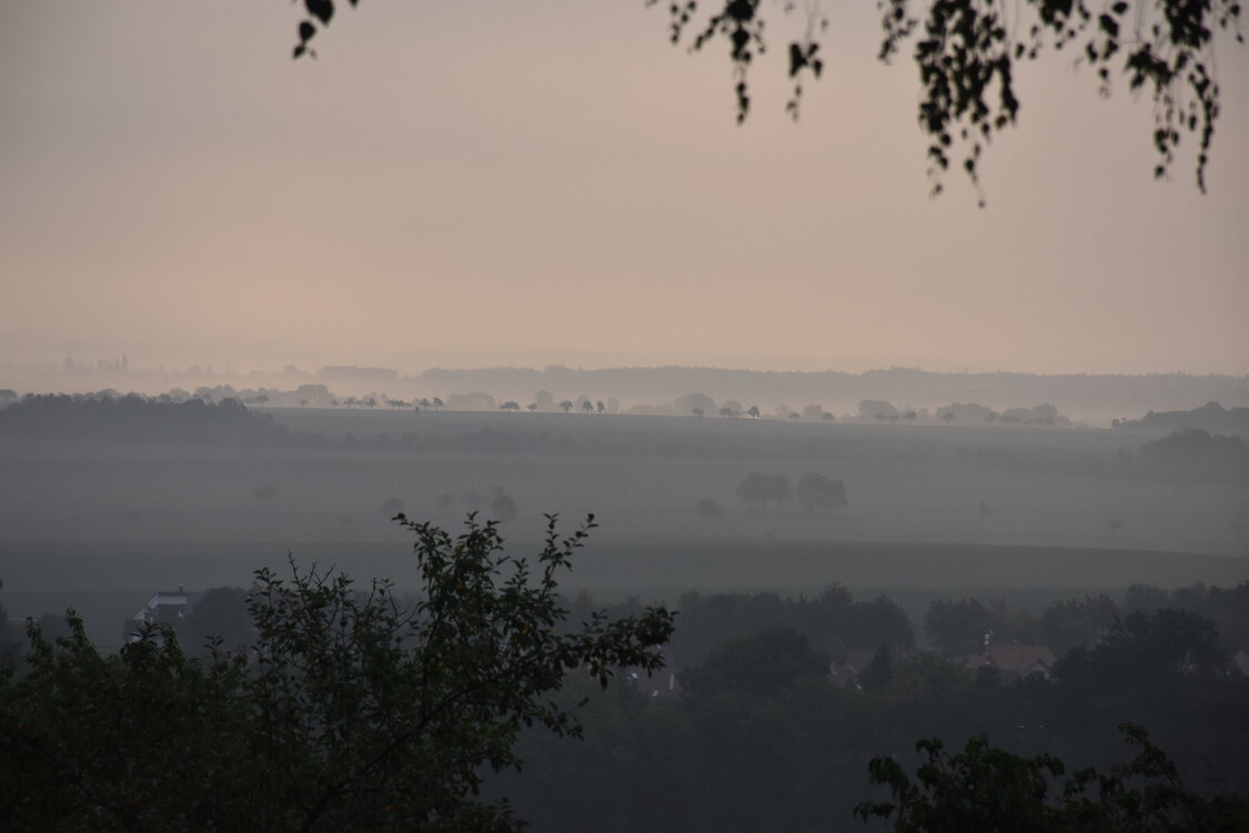 DSC_6420.JPG
