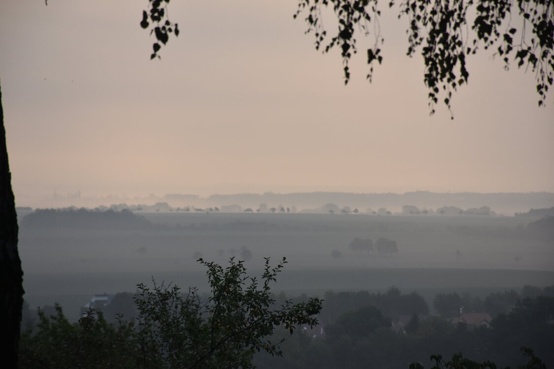DSC_6421.JPG