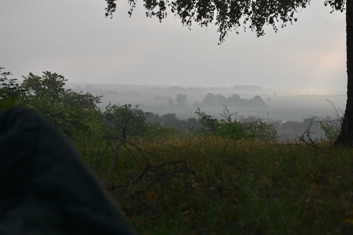 DSC_6423.JPG