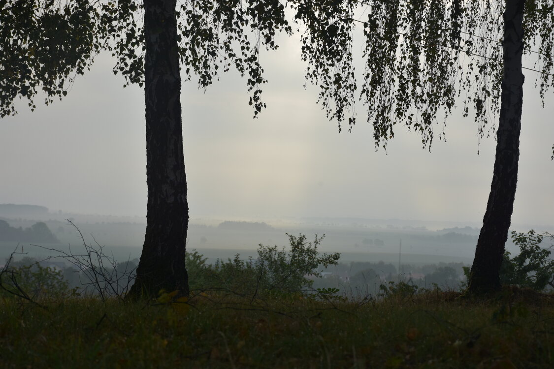 DSC_6424.JPG