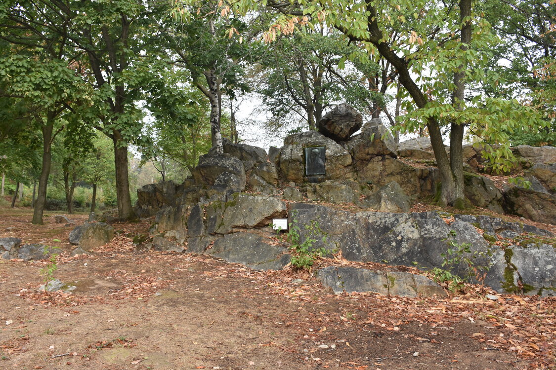 DSC_6427.JPG