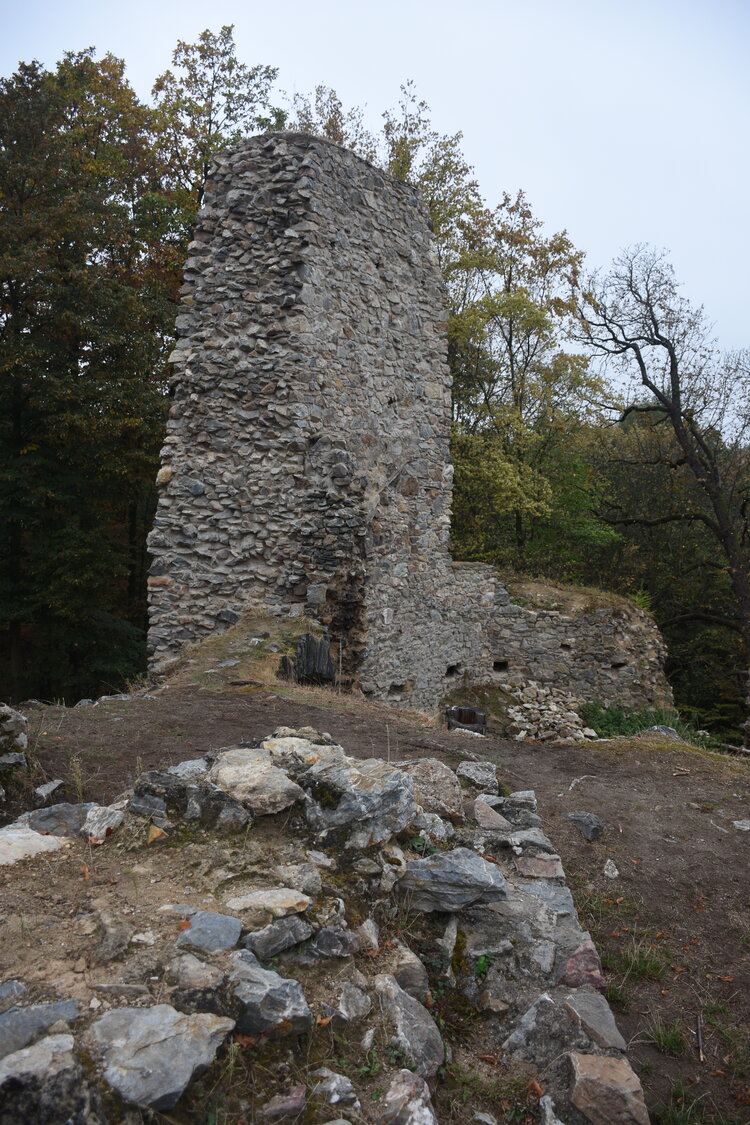 DSC_6442.JPG