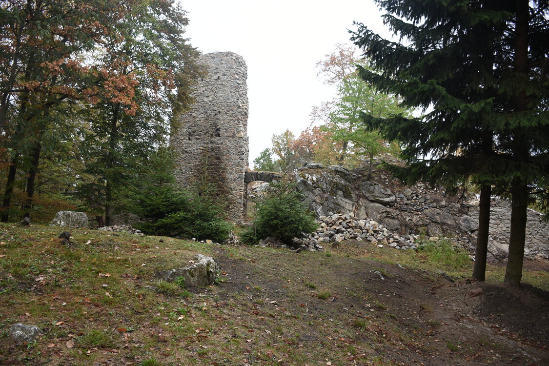 DSC_6445.JPG