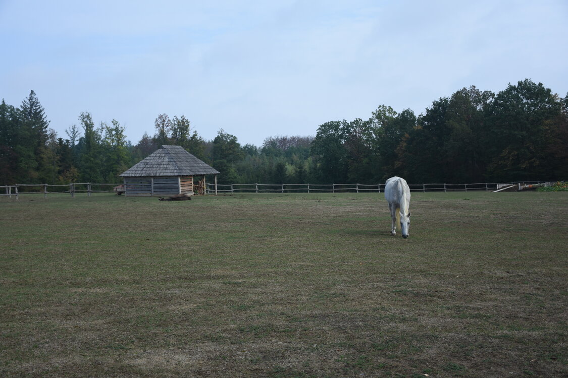 DSC_6452.JPG