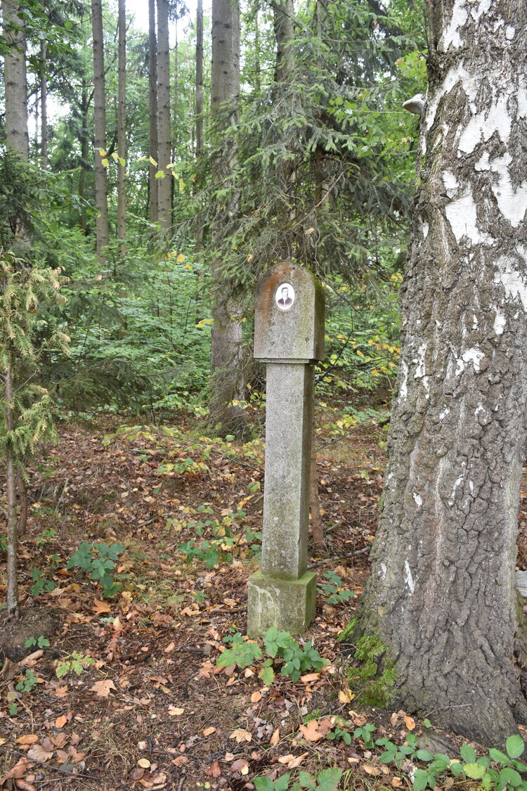 DSC_6460.JPG