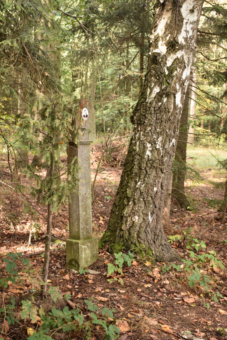 DSC_6462.JPG
